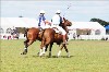 UKPA NC SAT_2625